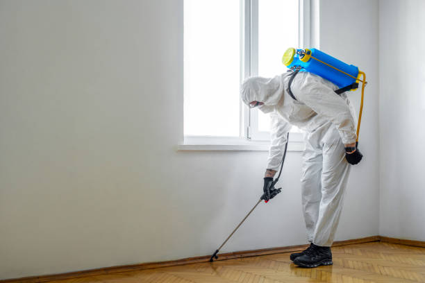 Reliable River Heights, UT Pest Control Solutions